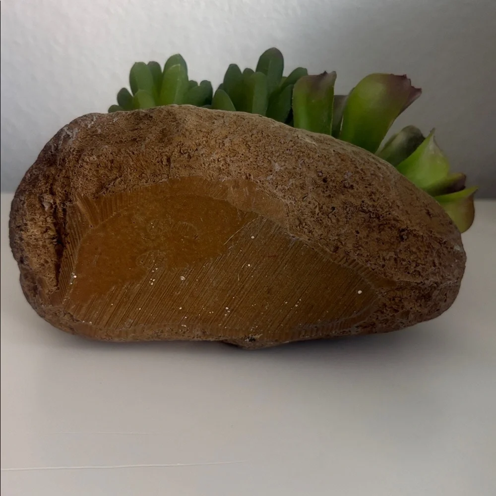 Pottery Barn Faux Succulent & Stone Arrangememt